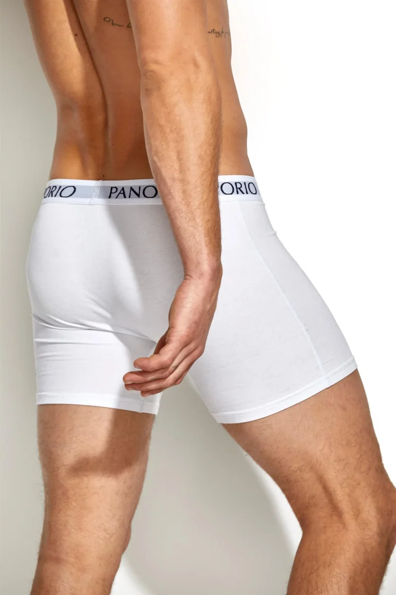 Base Bamboo Boxer - Image 4